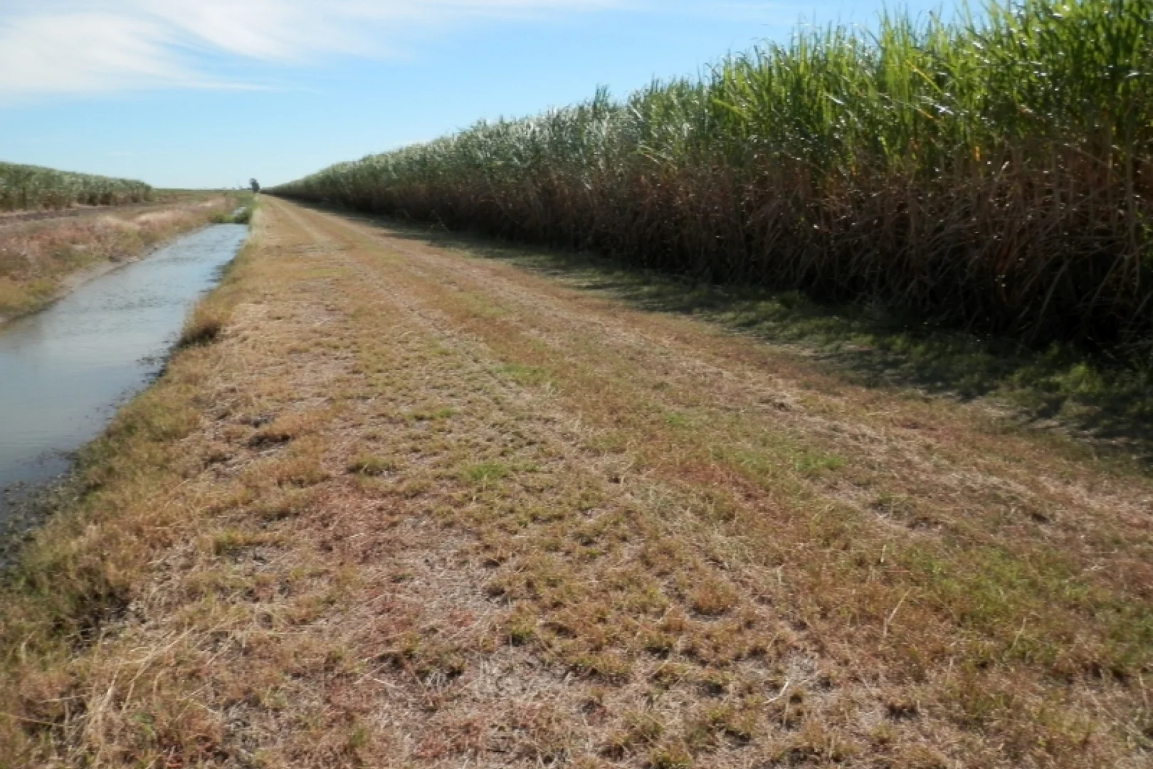 Additional image 20 of 52 Linton Road, Fredericksfield QLD 4806