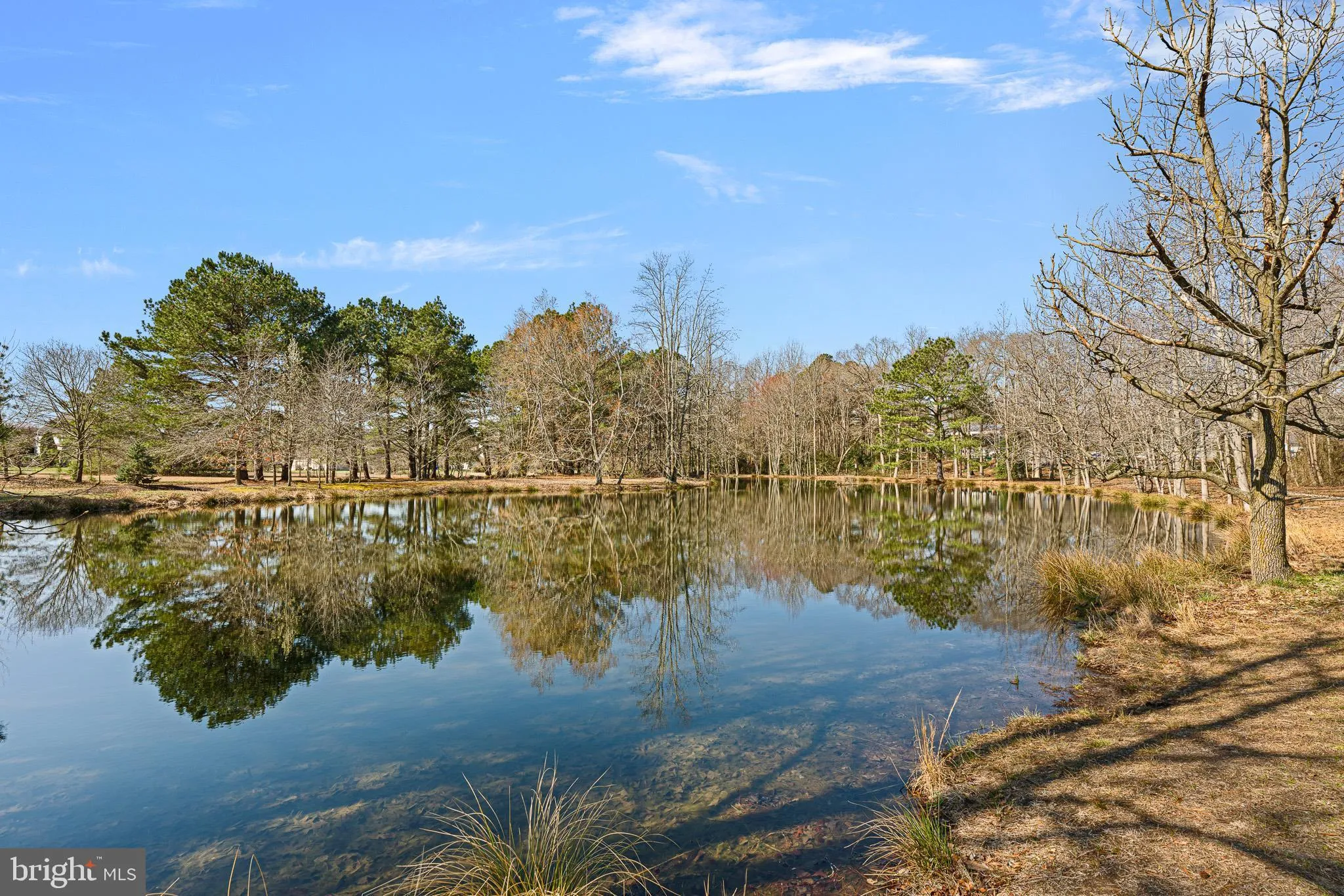 Additional image 96 of 4 Hidden Hills Court, Seaford, DE 19973