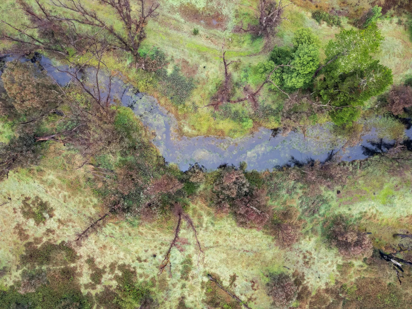 Additional image 16 of 1192 Balingup-Nannup Road, Southampton WA 6253