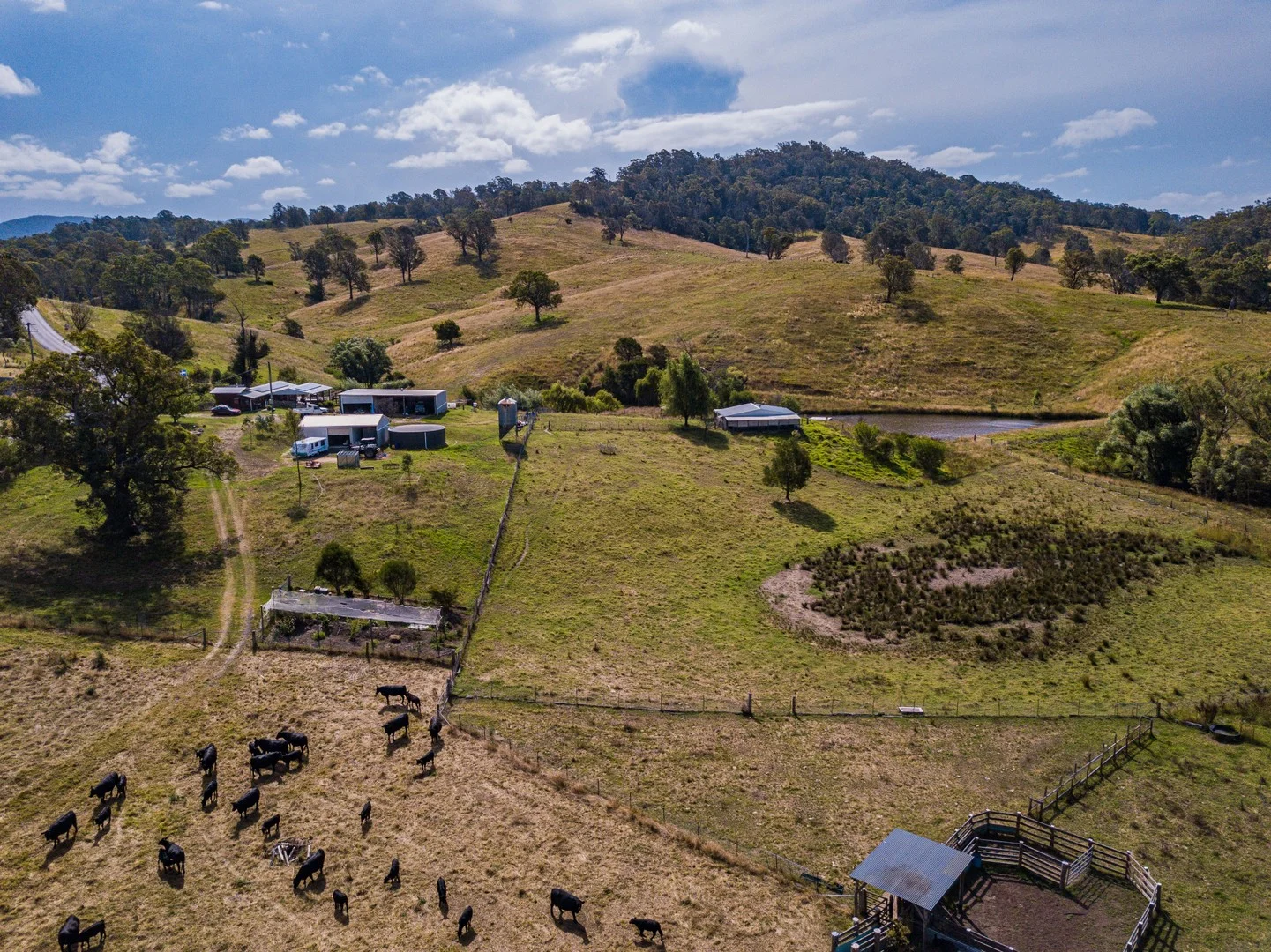 Additional image 3 of 222 WARRIGAL RANGE ROAD, Brogo NSW 2550