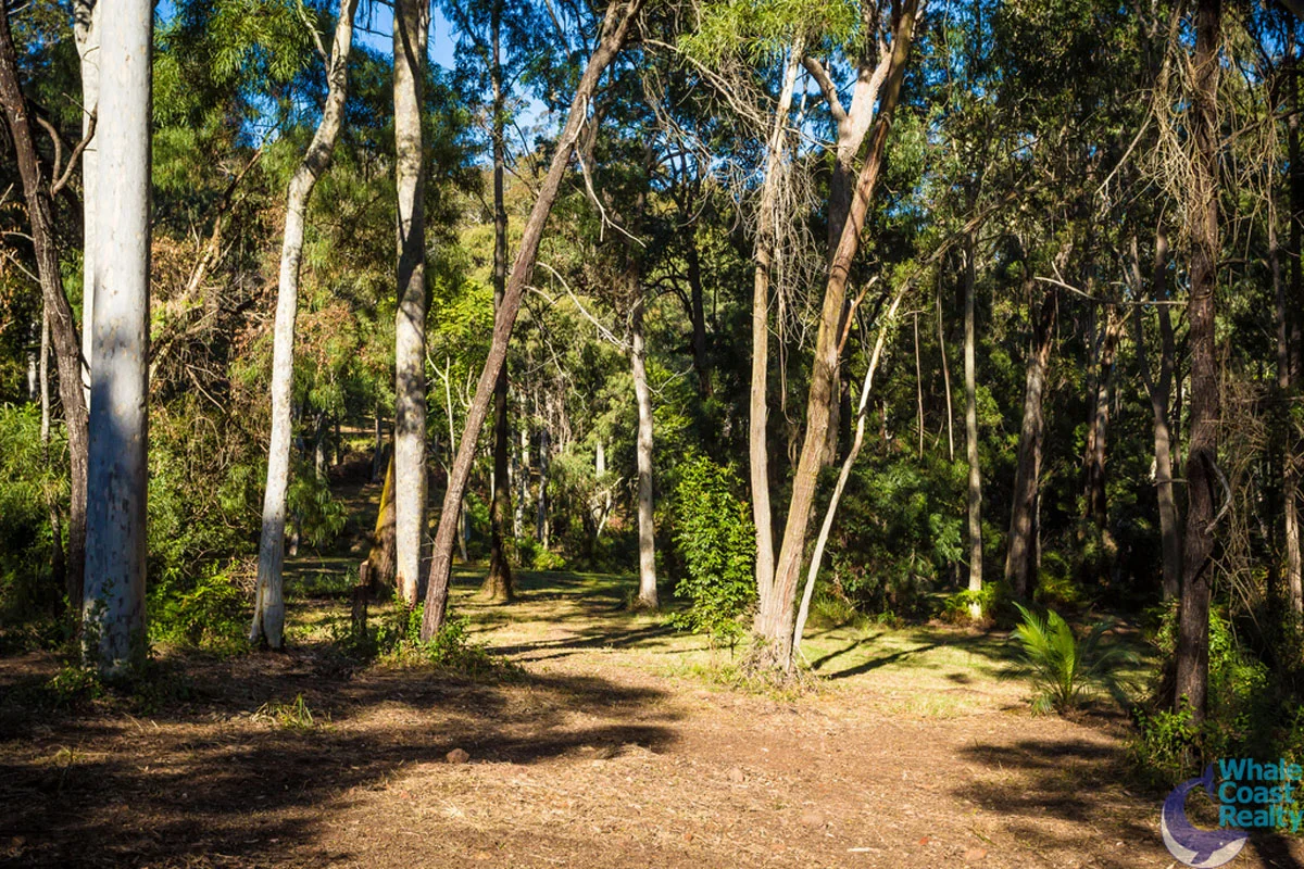 Additional image 7 of 100 Hobbs Point Road, Narooma NSW 2546