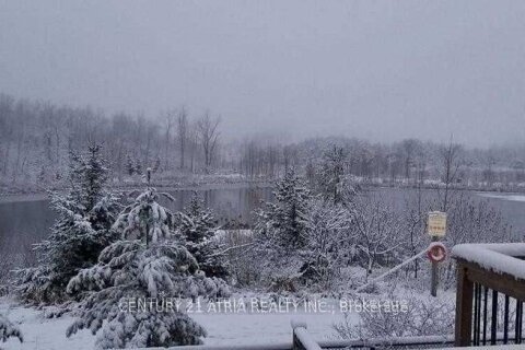 Additional image 7 of Basment-429 Reeves Way Boulevard, Whitchurch-stouffville, ON, L4A 0H2