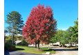 Additional image 55 of 787 Oak Hill Rd Unit 467, Lake Barrington, IL, 60010