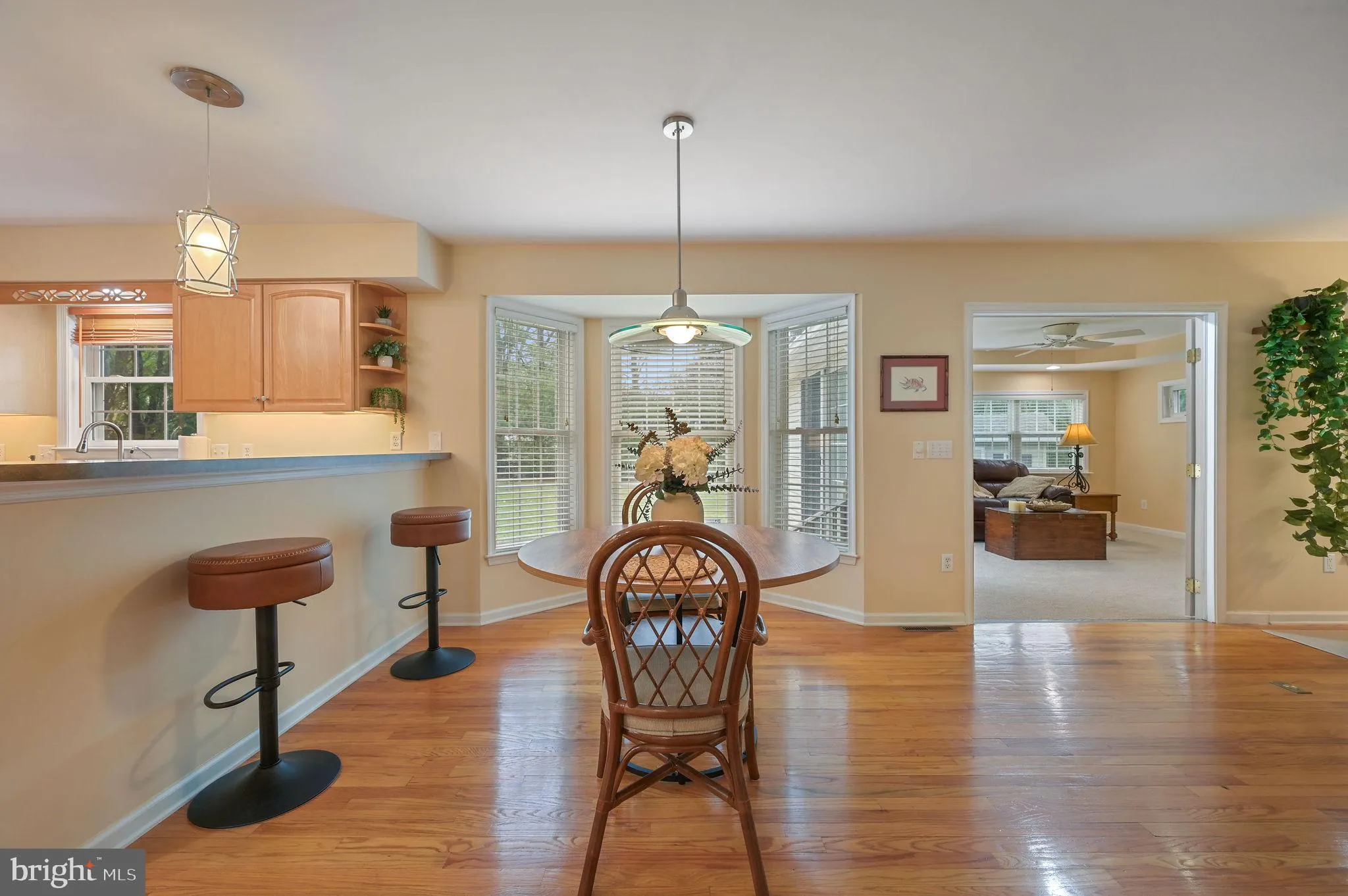 Additional image 50 of 537 Owens Brooke Drive, Smyrna, DE 19977