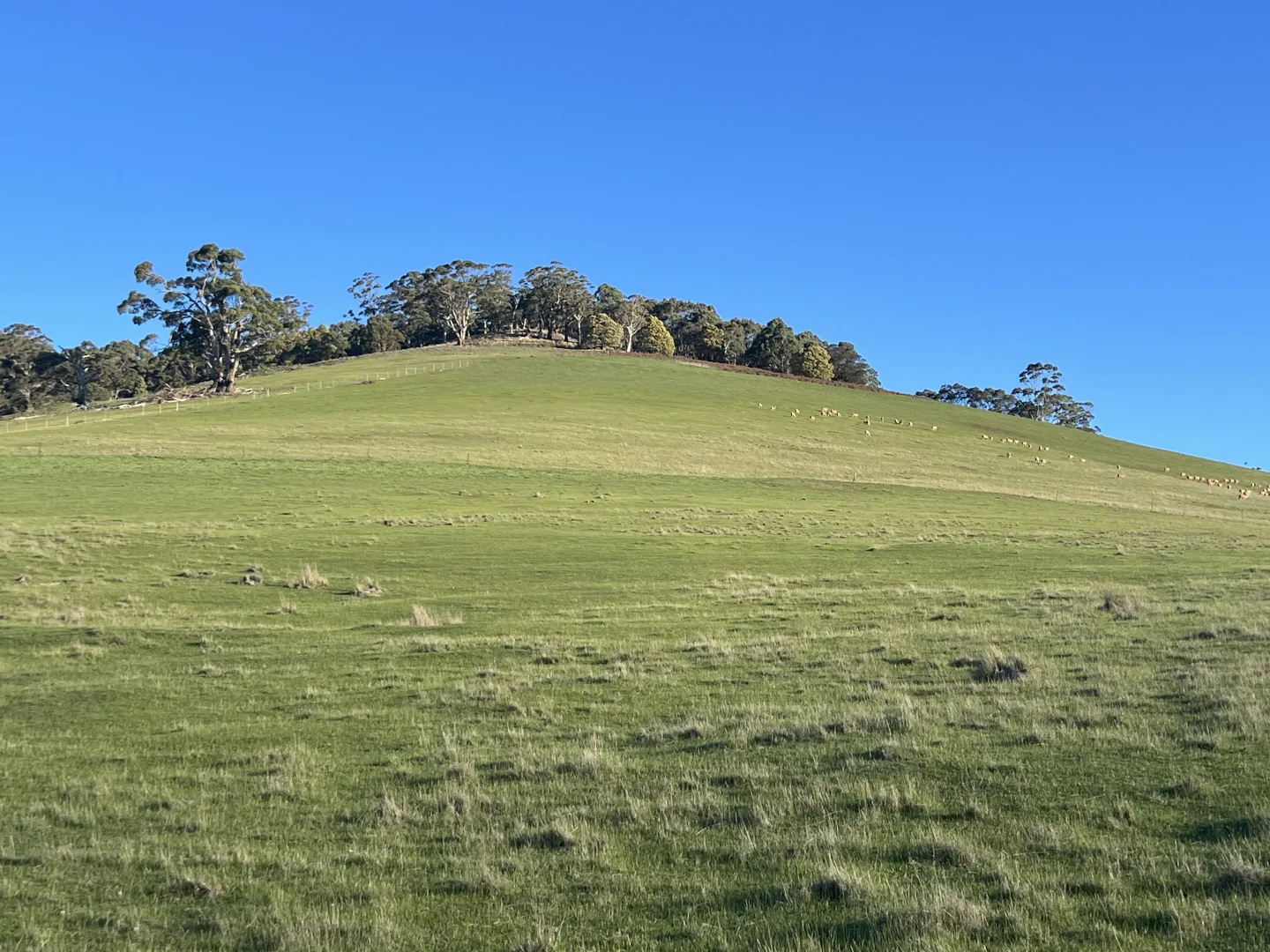 Additional image 14 of Lancefield-Pyalong Road, Goldie VIC 3435