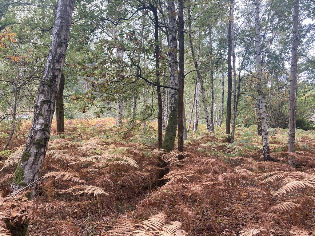 Land for saleRange Road, Finchampstead, Wokingham, Berkshire RG40