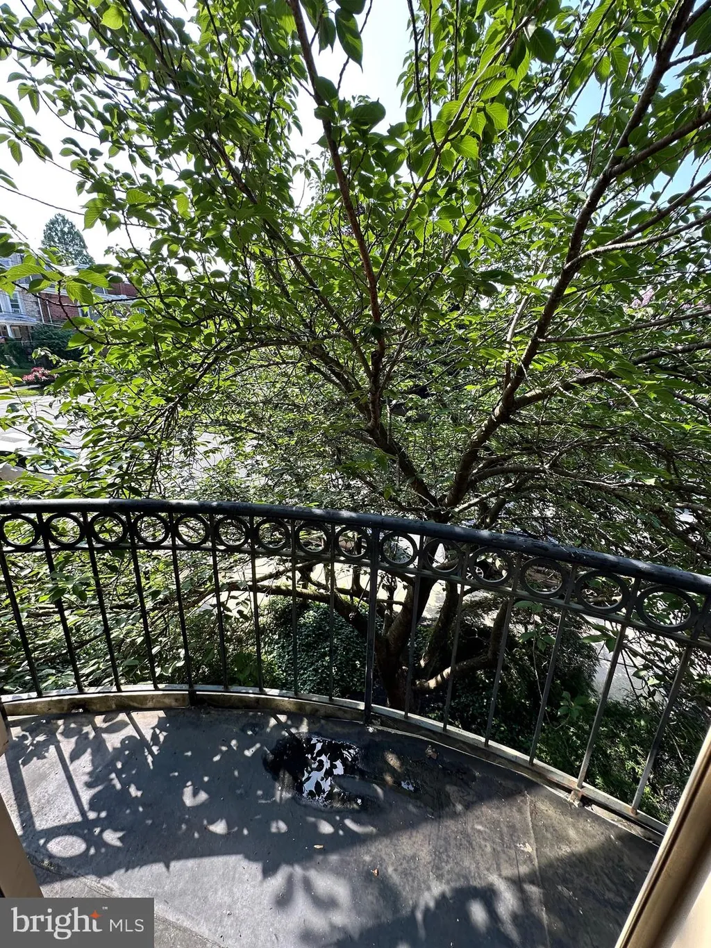 Additional image 53 of 1600 N Franklin Street, Wilmington, DE 19806