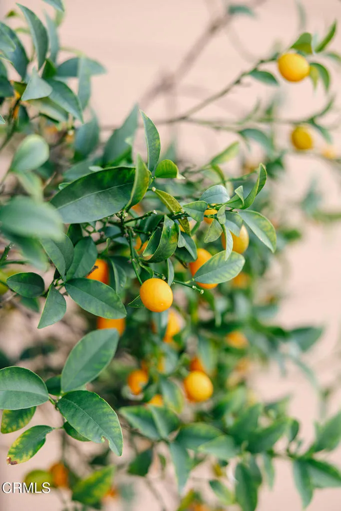 Additional image 148 of 2505 Canada Boulevard, Glendale, CA 91208