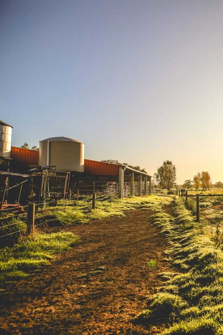 Additional image 31 of 503 Cohuna Island Road, Cohuna VIC 3568