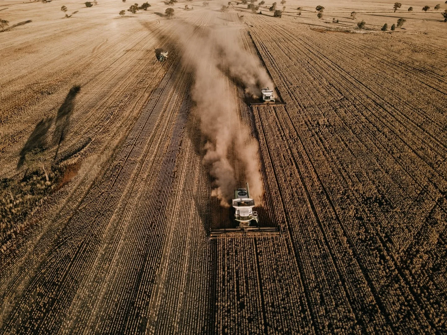 'Glenkerry' 492 Eremeran Road, Condobolin NSW 2877