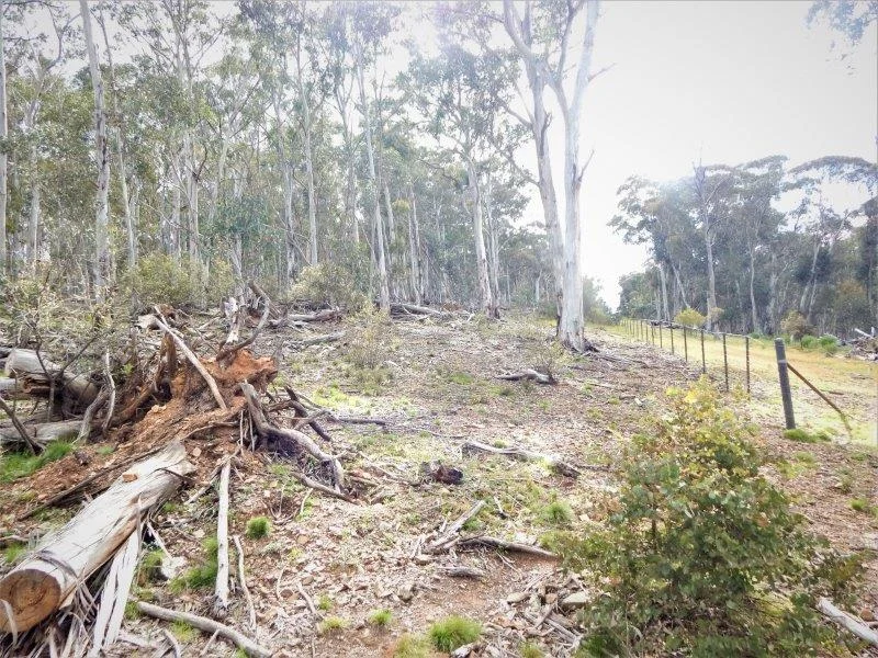 Additional image 9 of Lot 144 Anglers Reach Road, Adaminaby NSW 2629