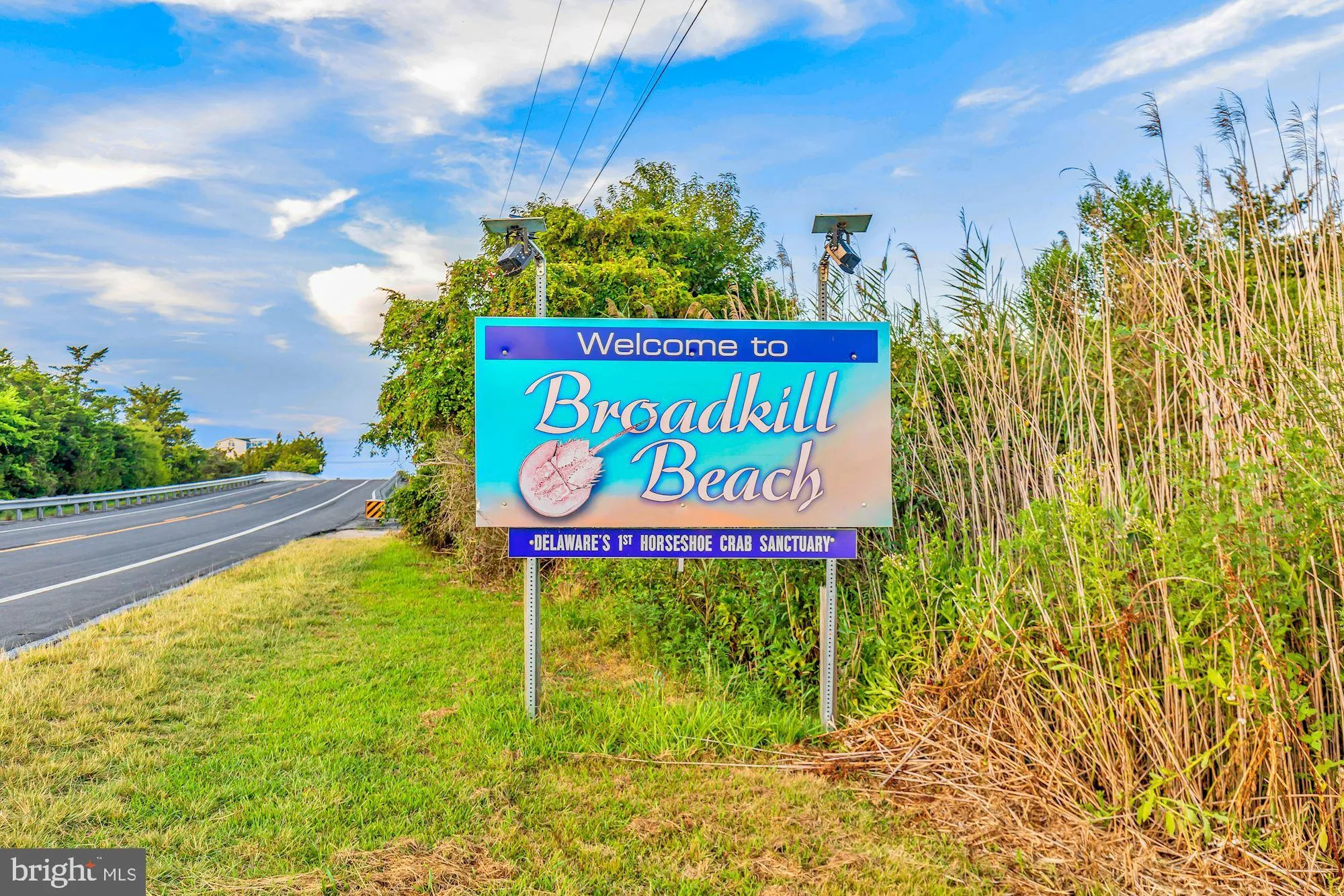 Additional image 118 of 28359 Martins Farm Road, Milton, DE 19968