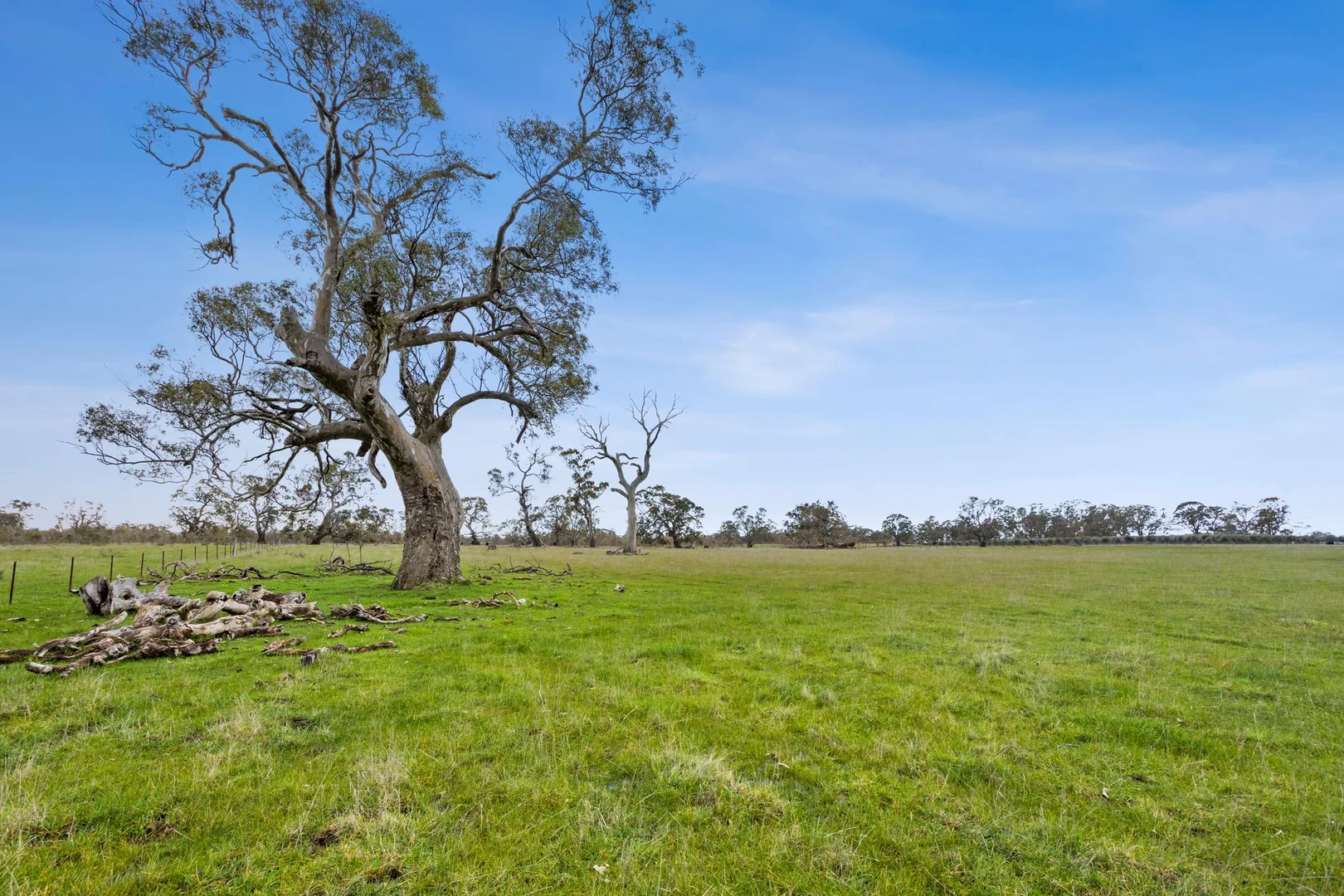 Additional image 11 of 135 Andersons Lane, Glenhope VIC 3444