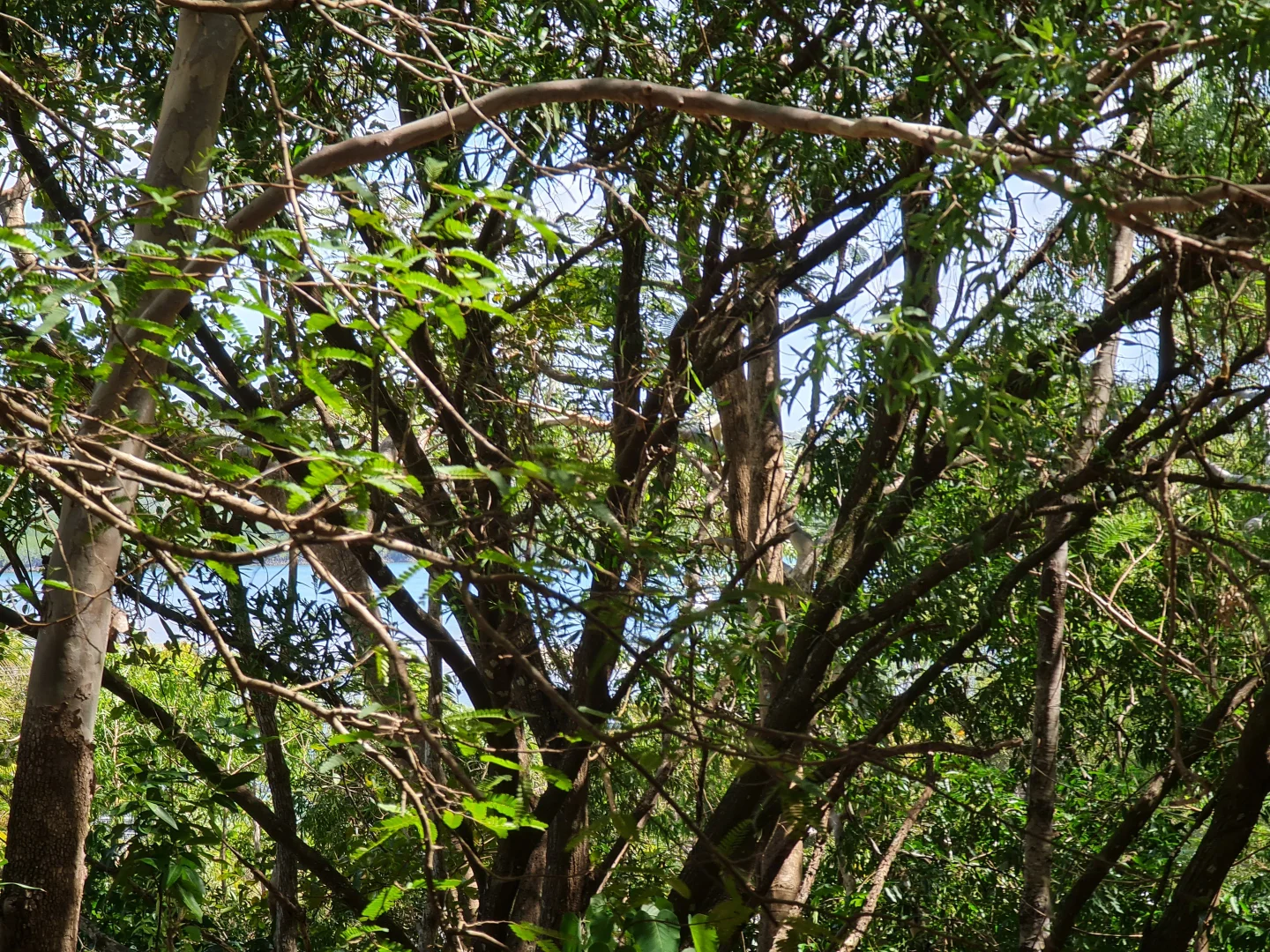 Additional image 2 of 18 Flinders Street, Cooktown QLD 4895