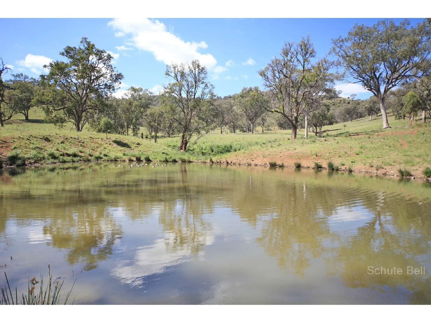 Additional image 2 of Tamworth NSW 2340