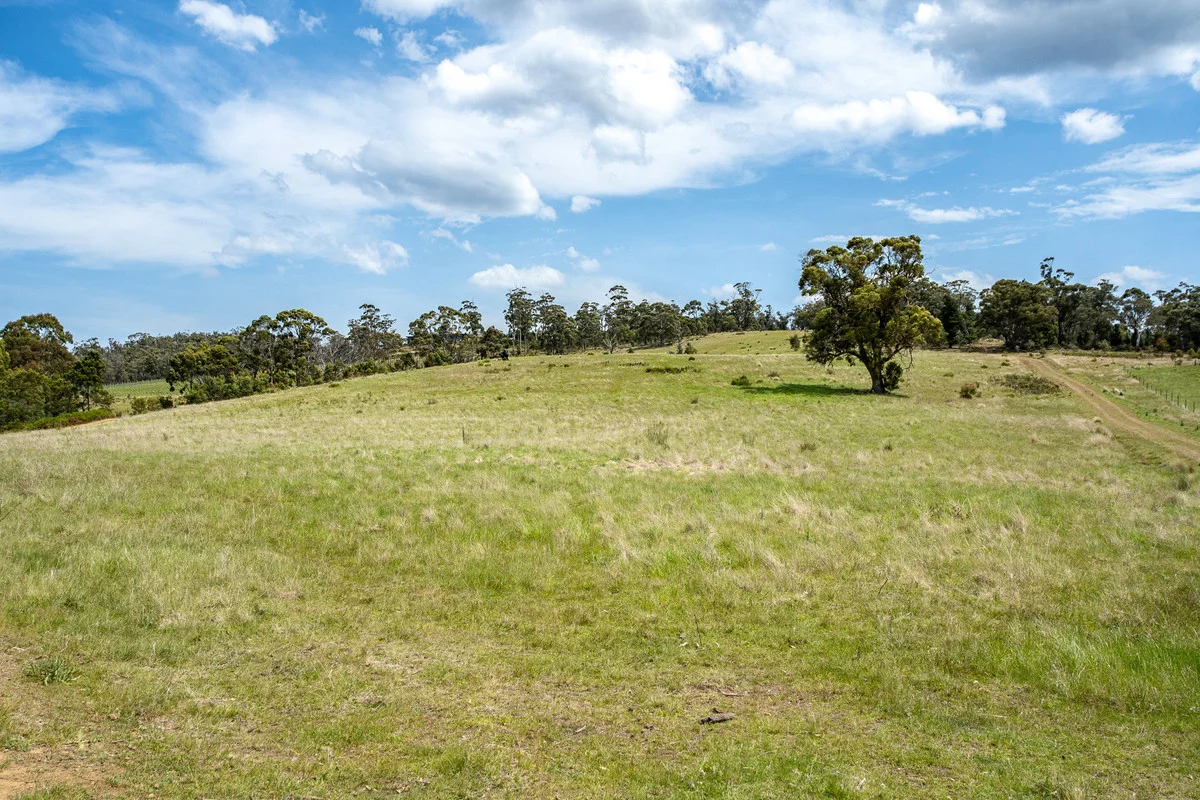 Additional image 25 of 2/10923 Tasman Highway, Little Swanport TAS 7190