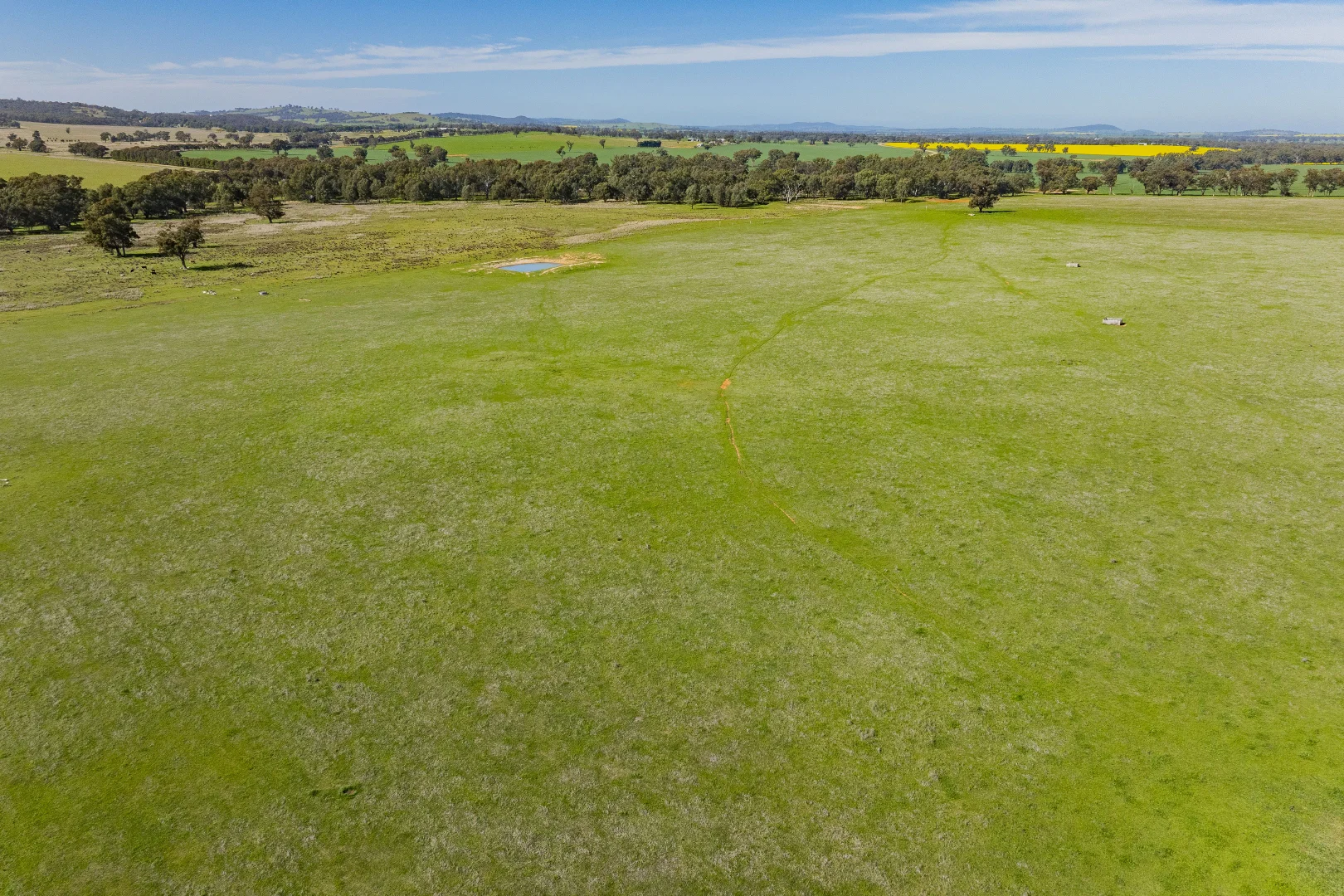 Additional image 62 of 277 Cloughs Road, Yarragundry NSW 2650