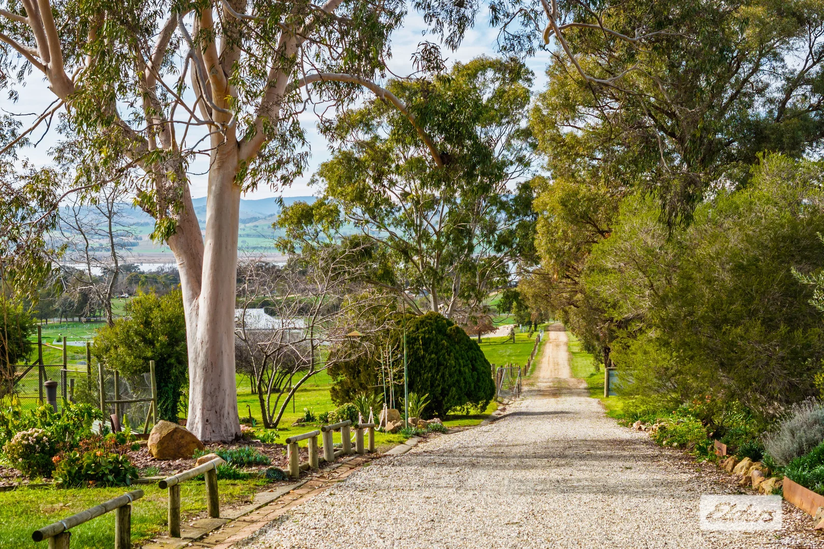Additional image 3 of 1055 Table Top Road, Table Top NSW 2640