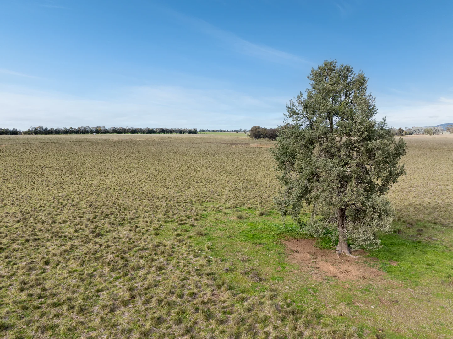 Additional image 12 of 235 Barrs Road, Cowra NSW 2794