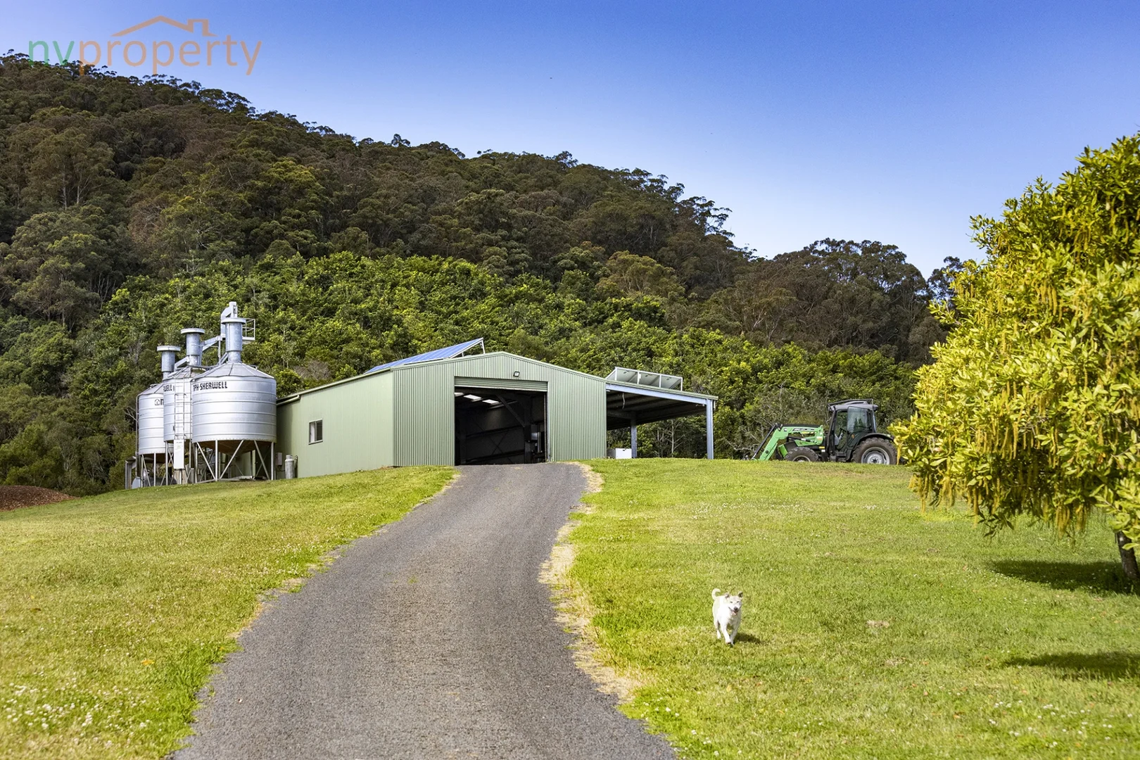 Additional image 6 of 31 Wesley Avenue, Donnellyville NSW 2447