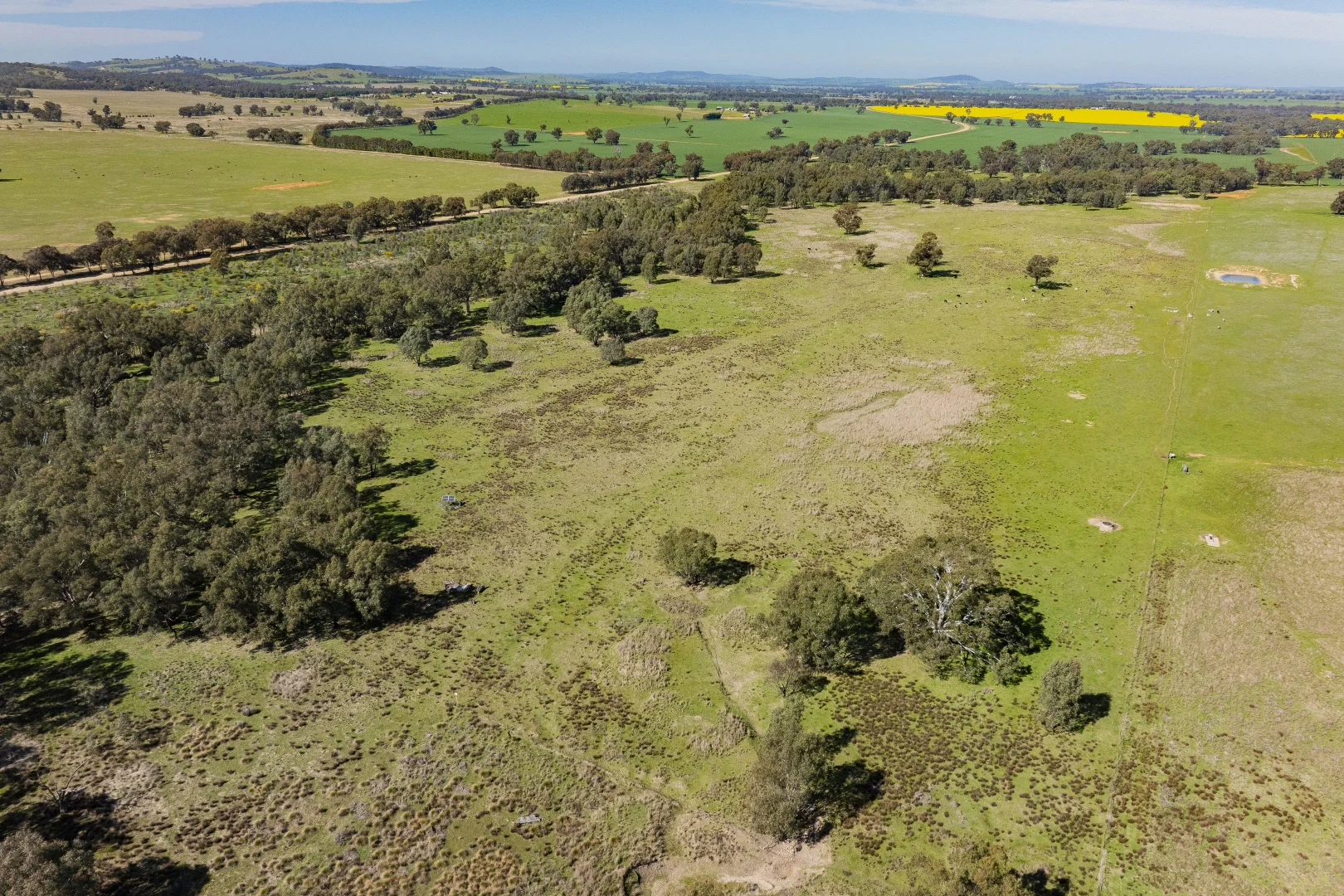 Additional image 89 of 277 Cloughs Road, Yarragundry NSW 2650