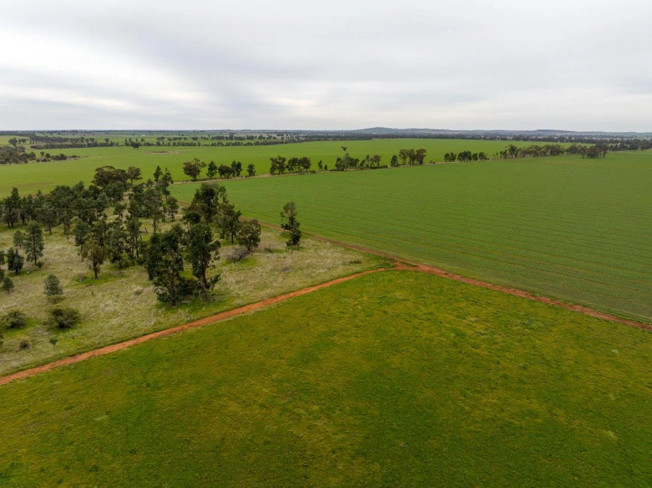 Additional image 9 of 'Lyndhurst' 639 Rannock Road, Coolamon NSW 2701