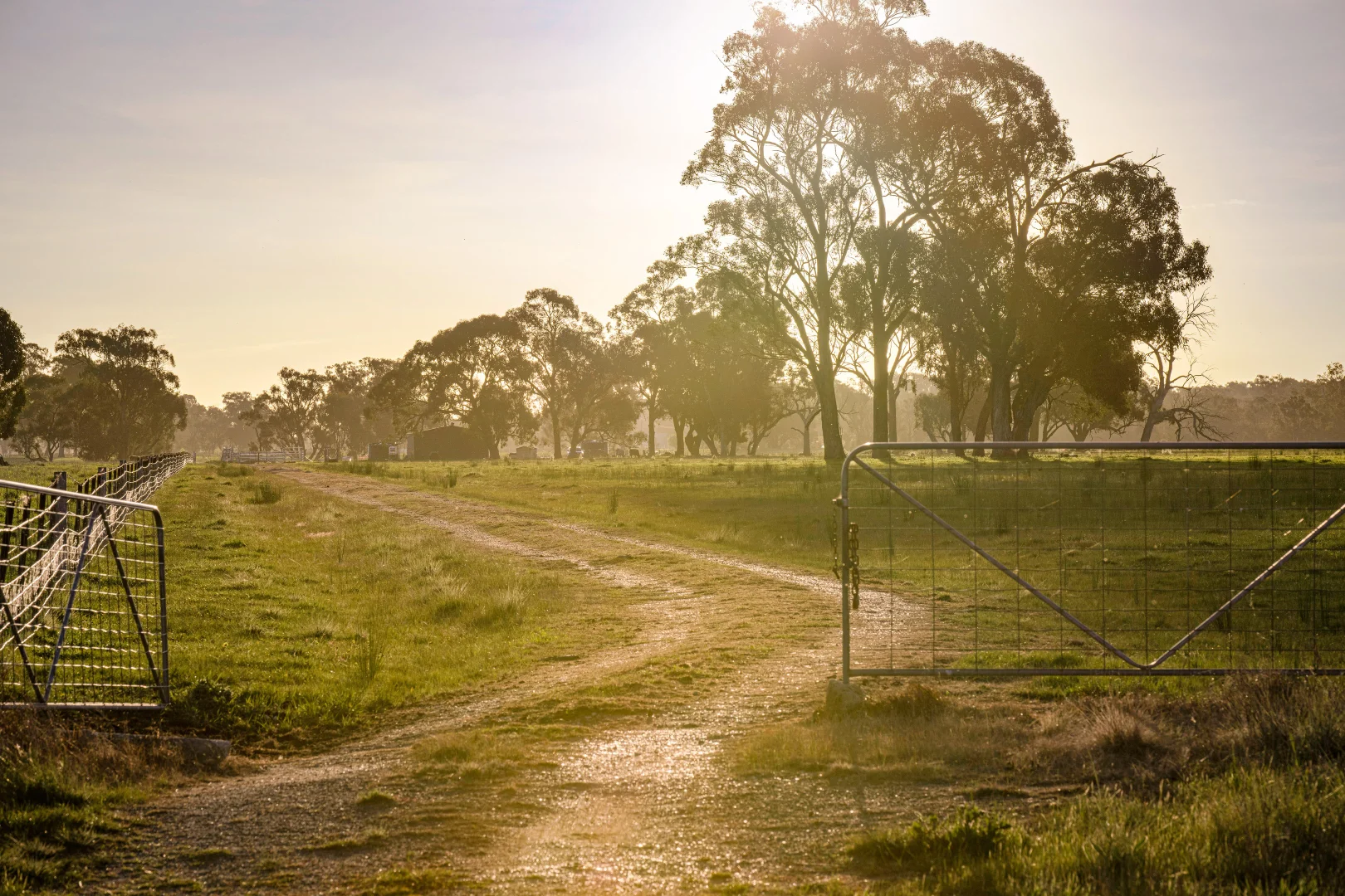 Additional image 15 of 617 Police Paddocks Road, Carlyle VIC 3685