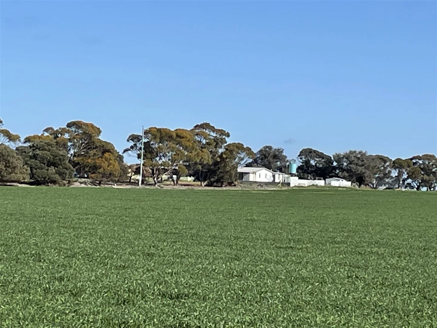 Additional image 7 of 726 Lake Bryde Road, Pingrup WA 6343