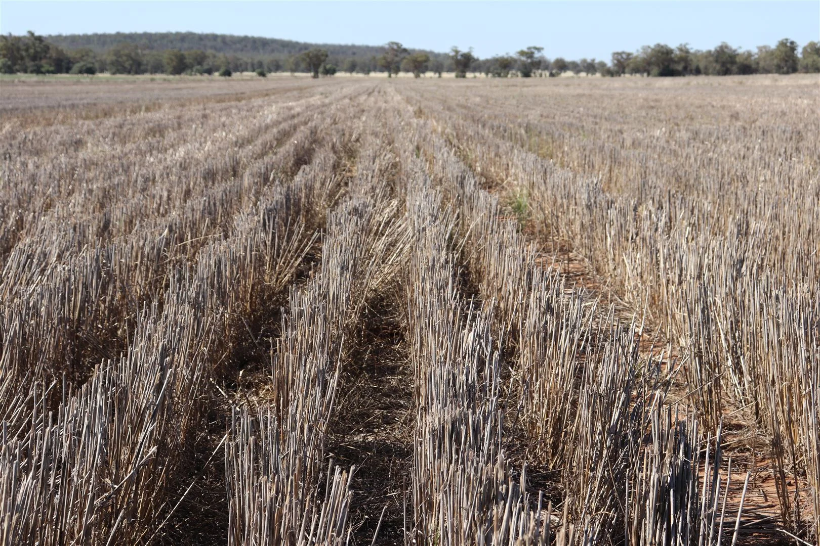 Additional image 8 of Parkes NSW 2870