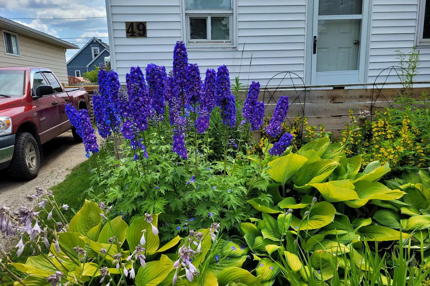 Additional image 15 of 49 Fern Avenue