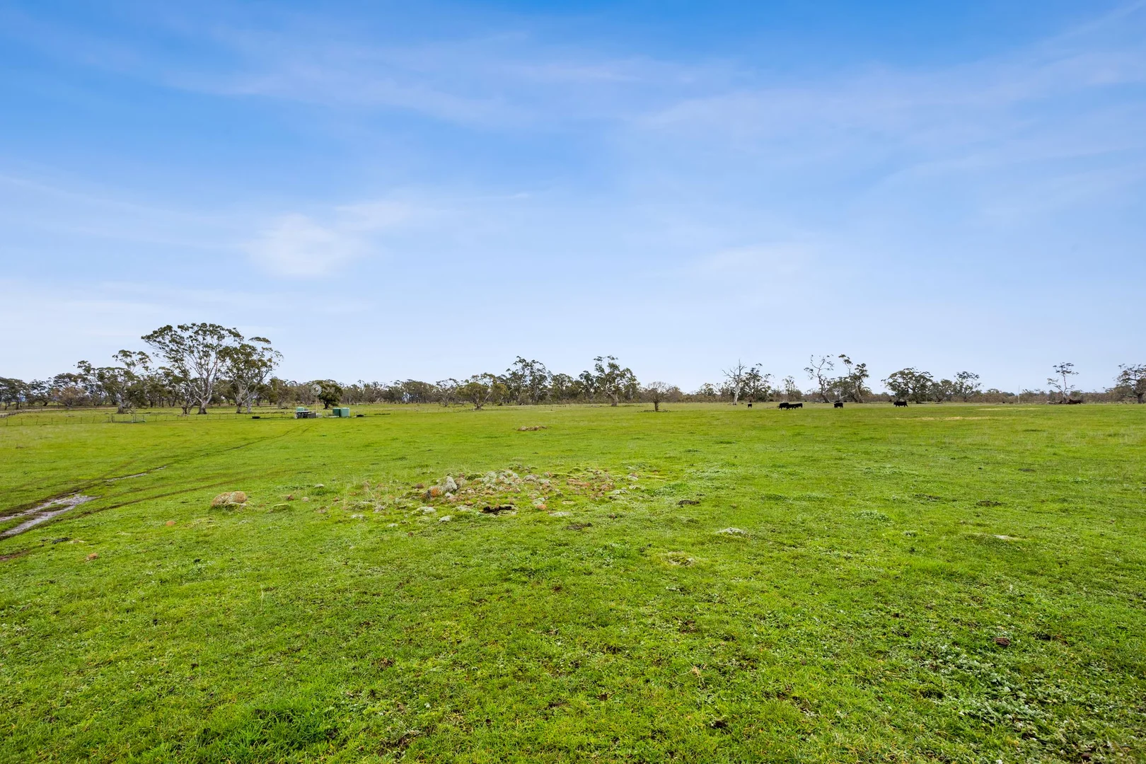 Additional image 10 of 135 Andersons Lane, Glenhope VIC 3444