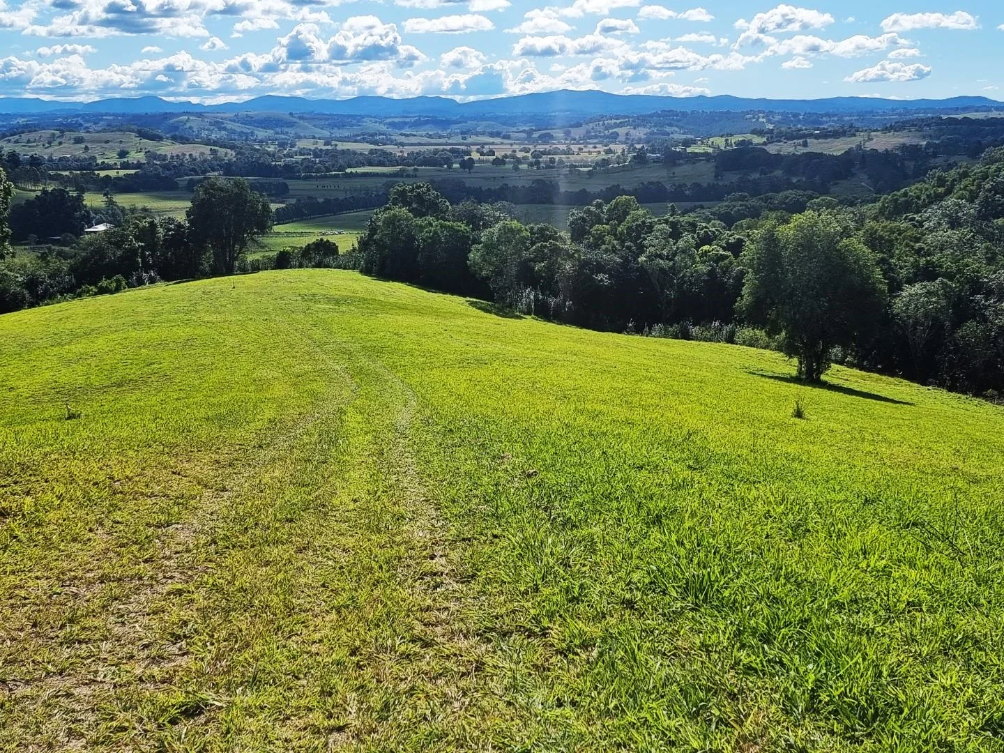 Additional image 7 of 48 Lincoln Avenue, McLeans Ridges NSW 2480