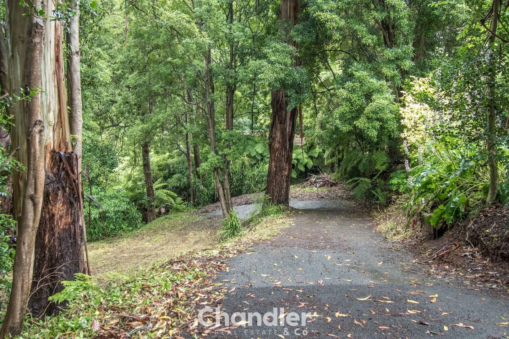 Additional image 2 of 85 Kallista - Emerald Road, The Patch VIC 3792