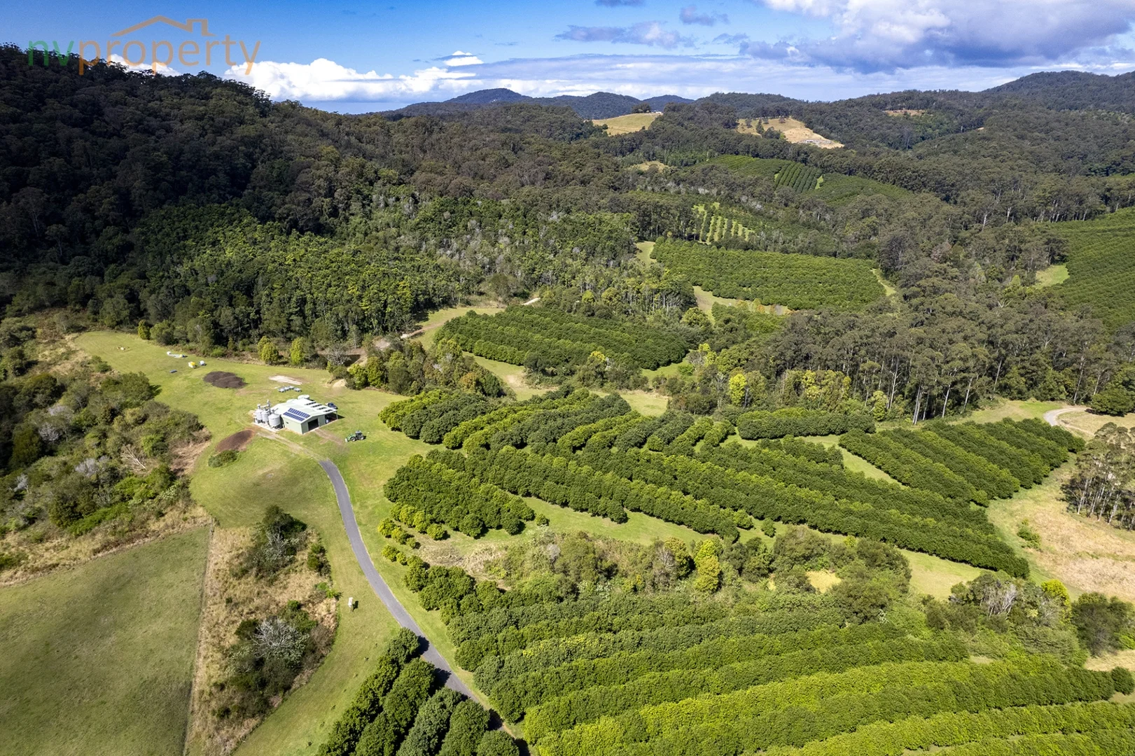 Additional image 25 of 31 Wesley Avenue, Donnellyville NSW 2447