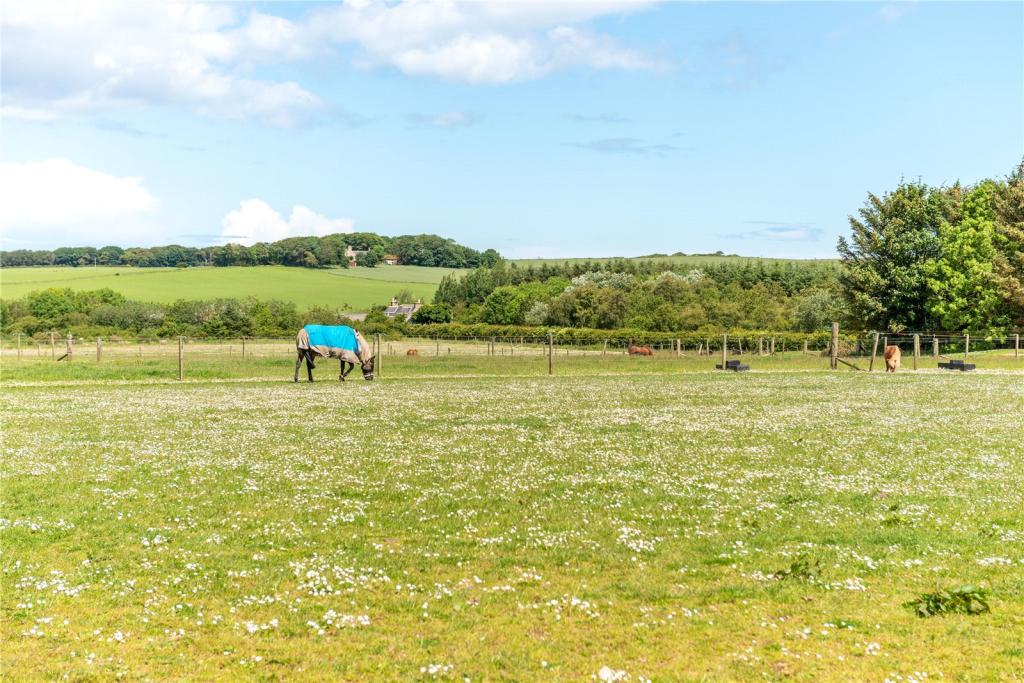 Additional image 14 of The Stables, Balhagan Equestrian, Bruntyards, Banff