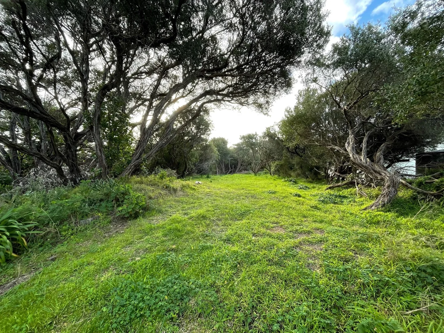 23 George Street, Venus Bay VIC 3956