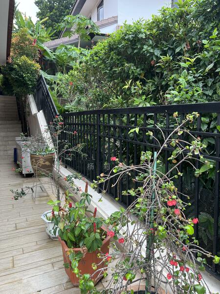 Additional image 12 of 8 Almount Street