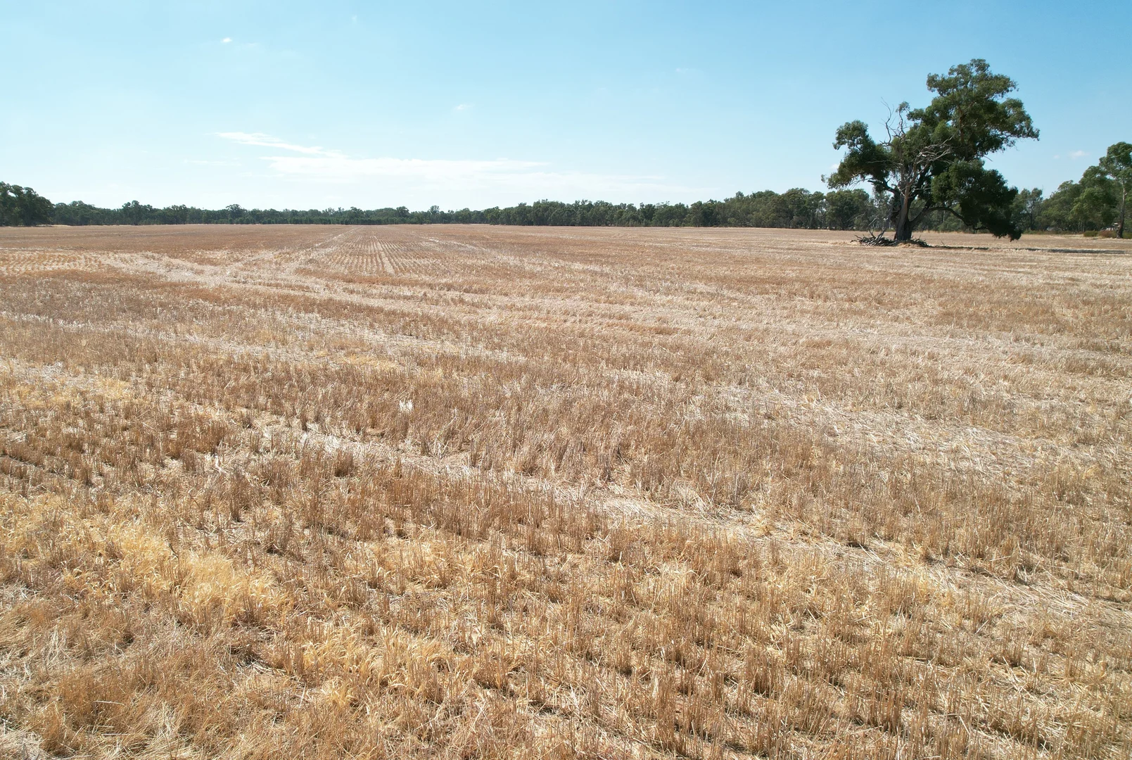Additional image 5 of Kurting-Powlett Road, Powlett Plains VIC 3517