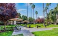 Additional image 24 of 1441 Detroit Ave, Concord, CA, 94520