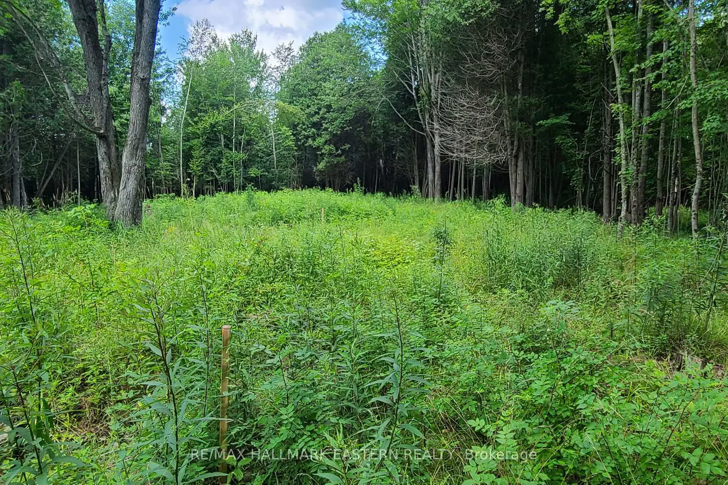 Additional image 14 of N/A Keating Road