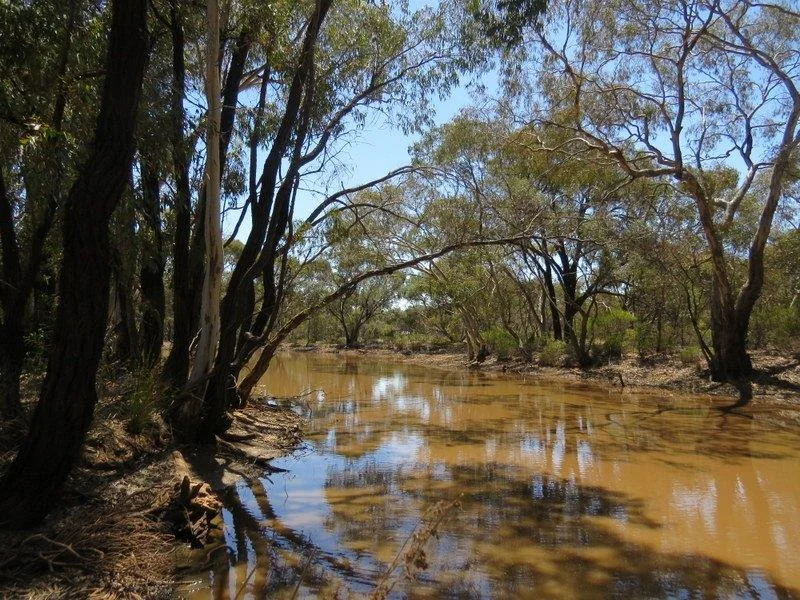 Primary image of 381 Wychitella Road, Wedderburn VIC 3518