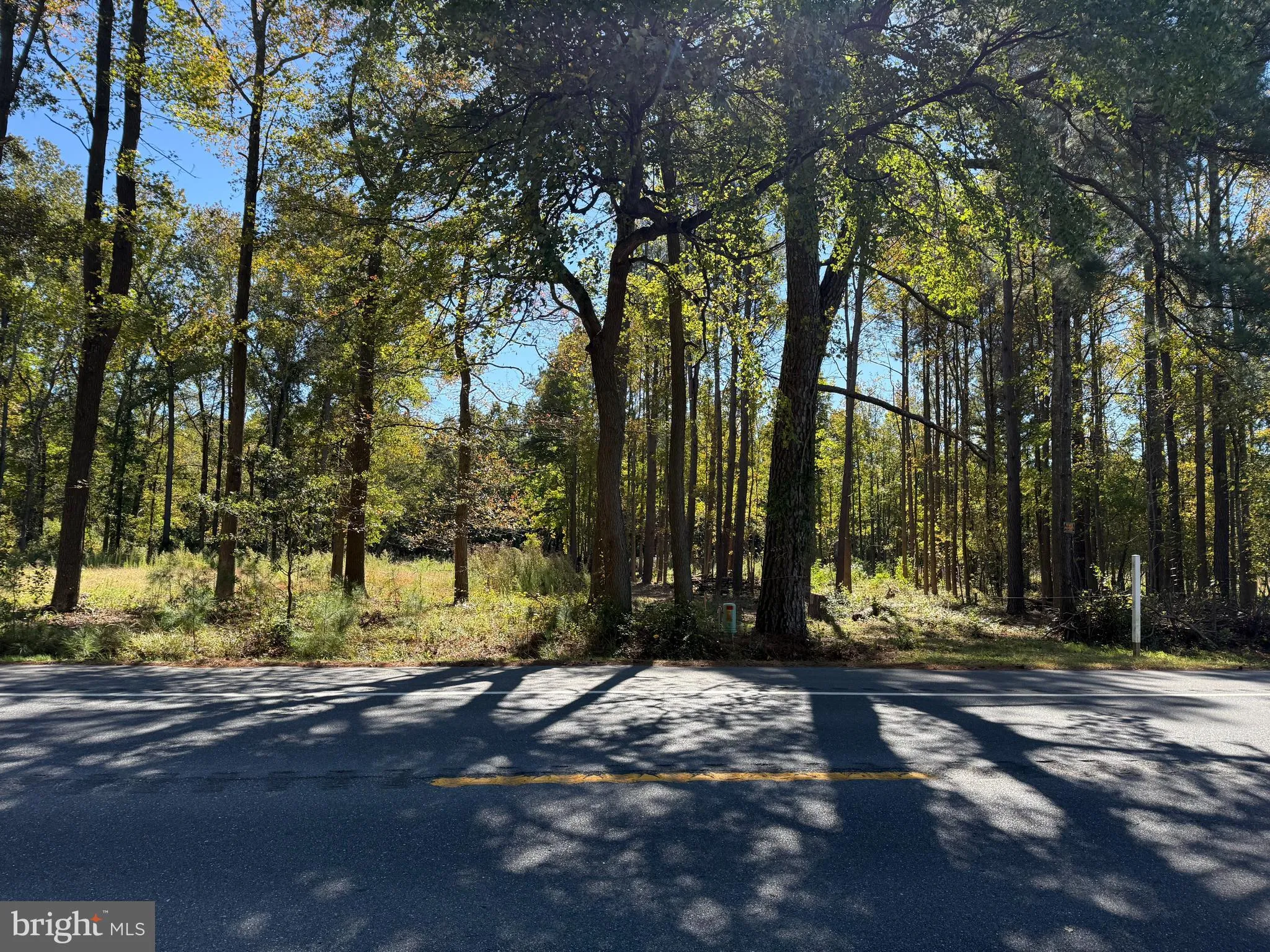 Additional image 18 of Laurel Rd, Millsboro, DE 19966