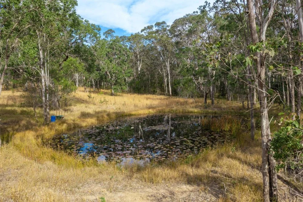 Additional image 20 of 1386 Willi Willi Road, Temagog NSW 2440