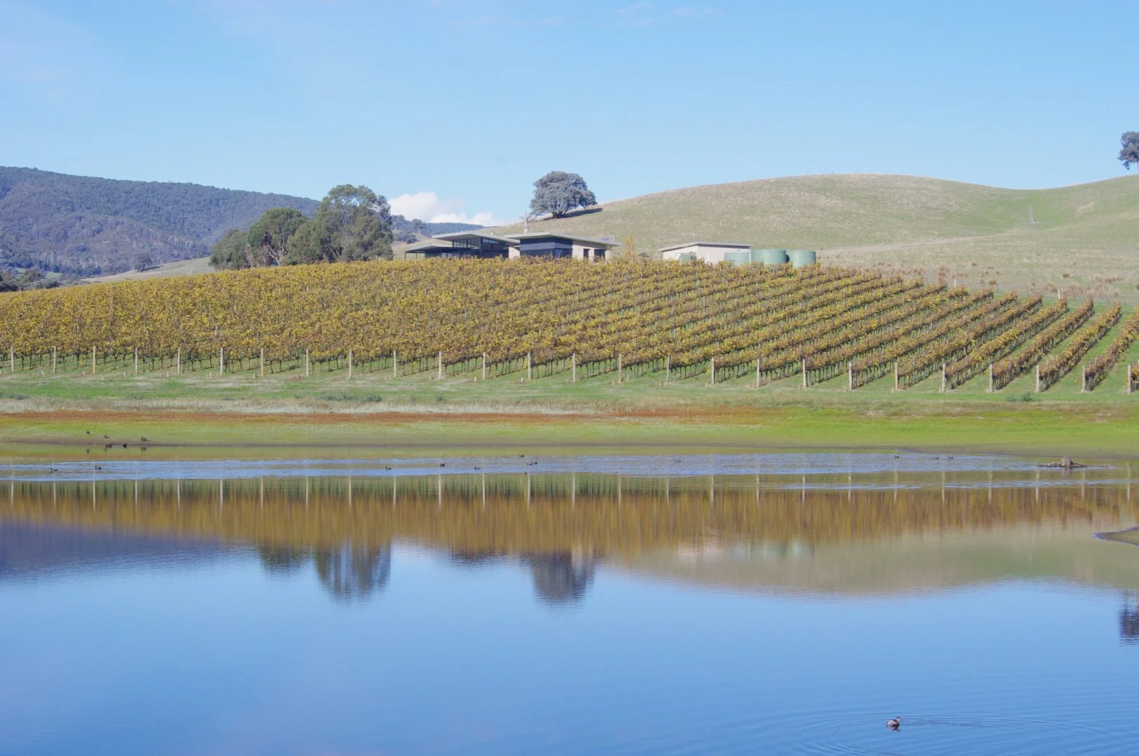 Primary image of 638 Limestone Road, Limestone VIC 3717