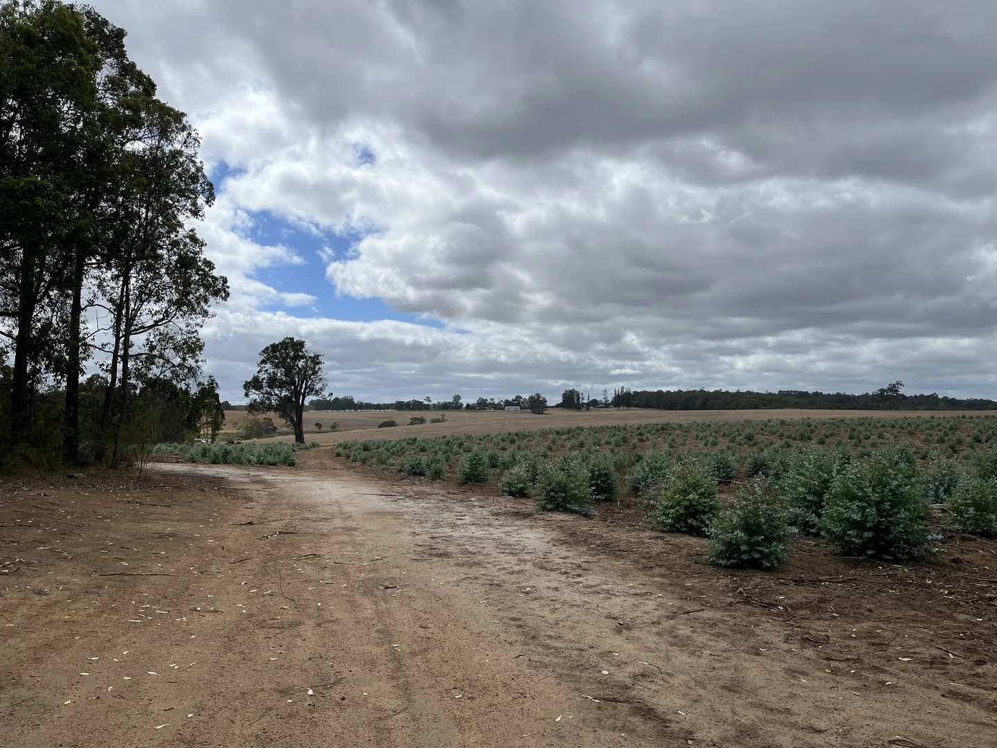 Lot 12913 Tannin Road, Manjimup WA 6258