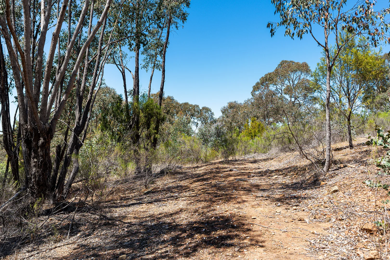 Additional image 9 of 70 Ireland Street, McKenzie Hill VIC 3451