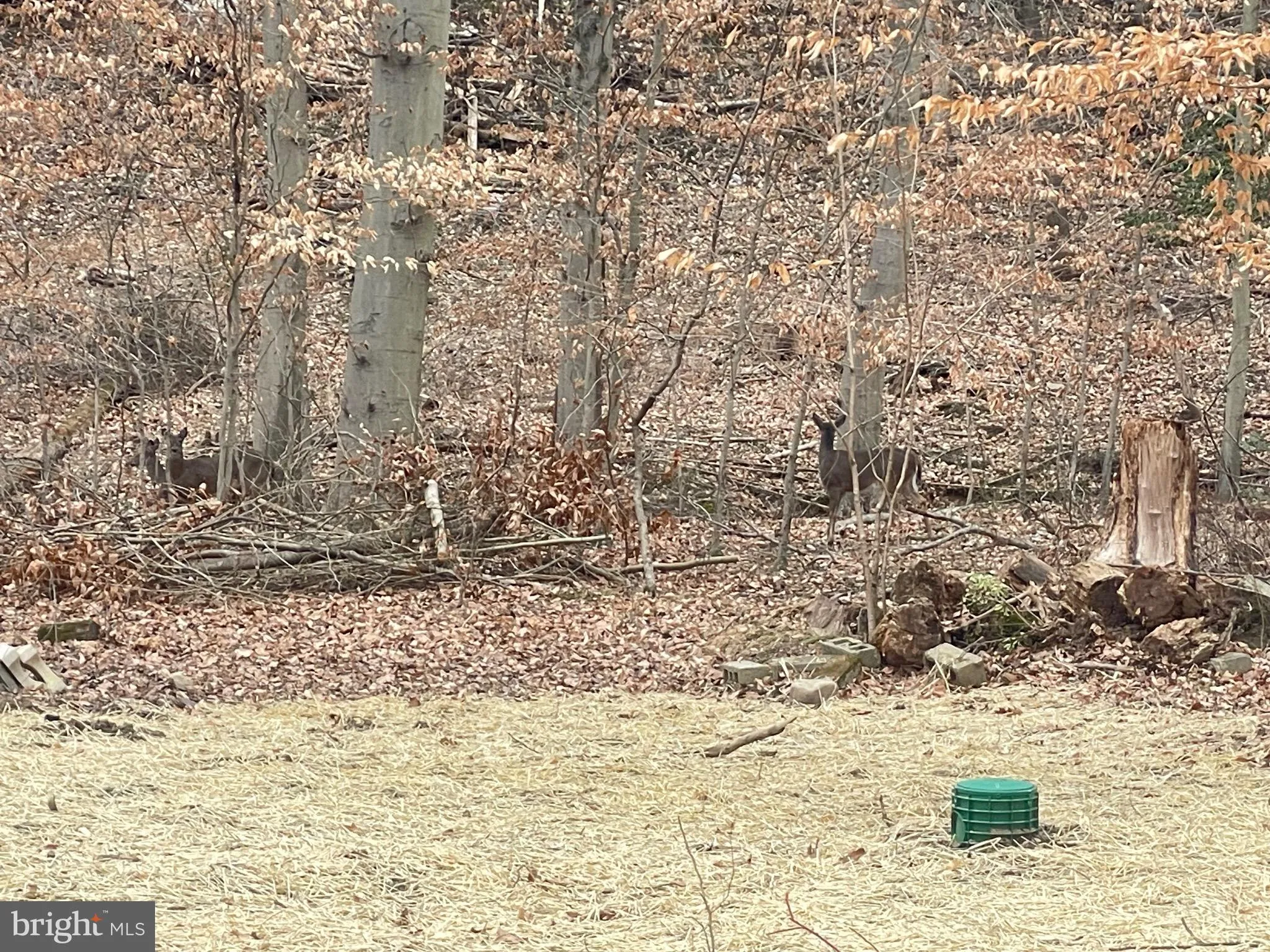 Additional image 68 of 43 The Horseshoe, Newark, DE 19711