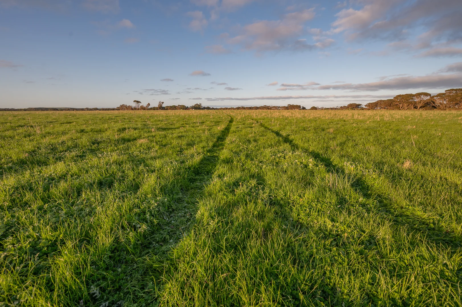 Additional image 20 of 130 Hog Bay Road, Cygnet River SA 5223