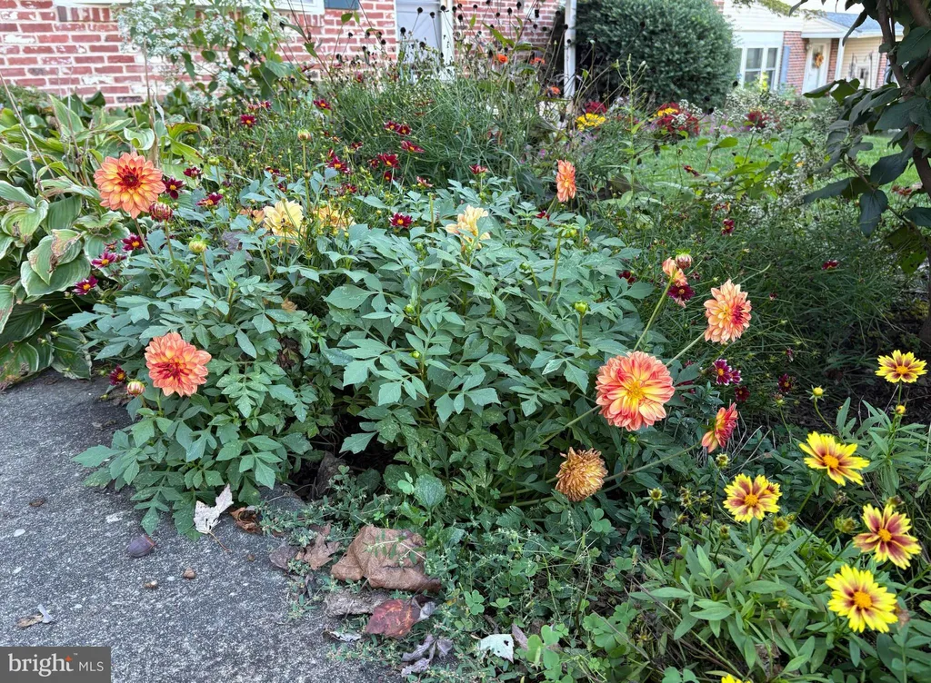 Additional image 47 of 105 Chapel Hill Drive, Newark, DE 19711