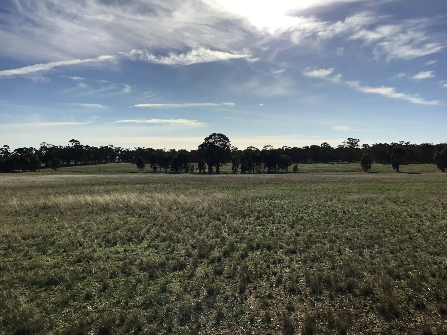 Additional image 7 of 2 Bendigo-St Arnaud Rd, Murphys Creek VIC 3551